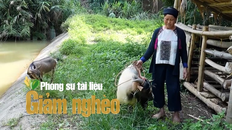 Tín dụng chính sách – Đòn bẩy giúp người dân Lào Cai giảm nghèo bền vững