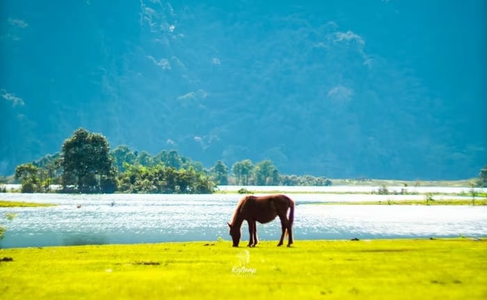 Hồ nước ngọt view mát rượi trên một thảo nguyên đẹp mê tơi, bất ngờ 'hiện ra' ở tỉnh Lạng Sơn, cách Hà Nội gần thôi