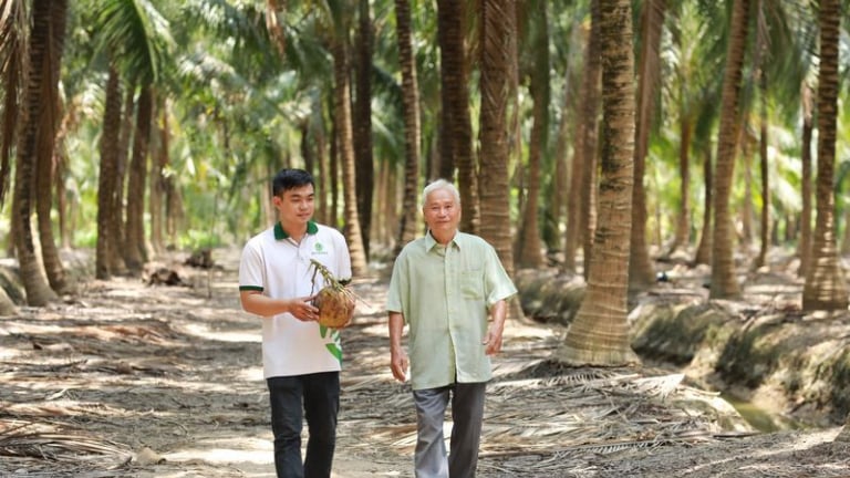 Sáp nhập thành công tỉnh Bến Tre, Trà Vinh, tỉnh Vĩnh Long có ngành hàng này đứng số 1 Việt Nam