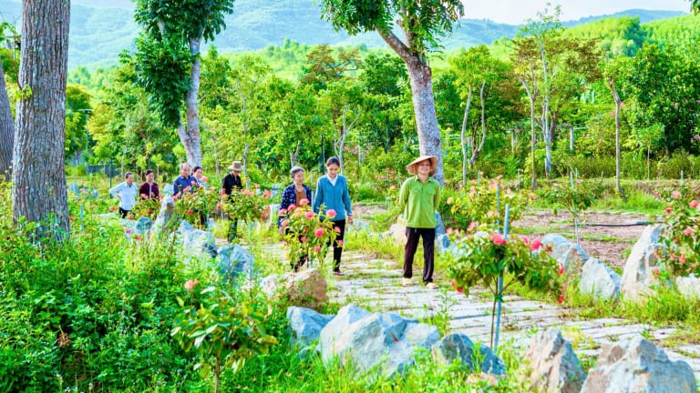 Ký kết hợp tác toàn diện Viện nghiên cứu Y Dược cổ truyền Tuệ Tĩnh và Công ty TNHH SMC Organic Garden 