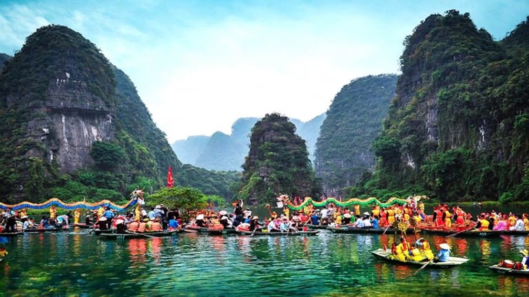 Đến một nơi sông nước ở tỉnh Ninh Bình, có người chỉ thích coi loài cây này