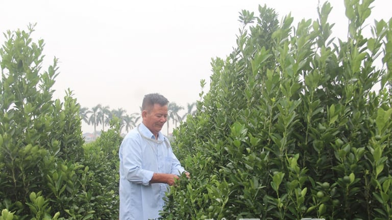 Phường Trà Lý của tỉnh Hưng Yên mới, sẽ là trung tâm văn hóa, vui chơi, giải trí, phát triển du lịch quan trọng