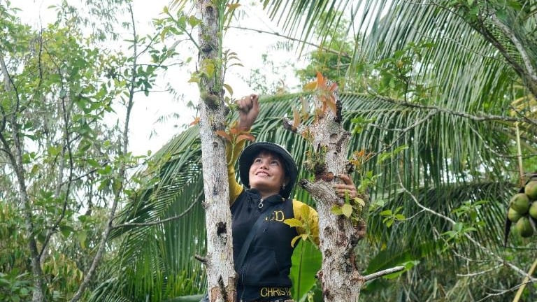 Vùng núi nào cao 710m so với mực nước biển ở tỉnh An Giang la liệt rau rừng ngon, 10 người nếm cả làng khen?