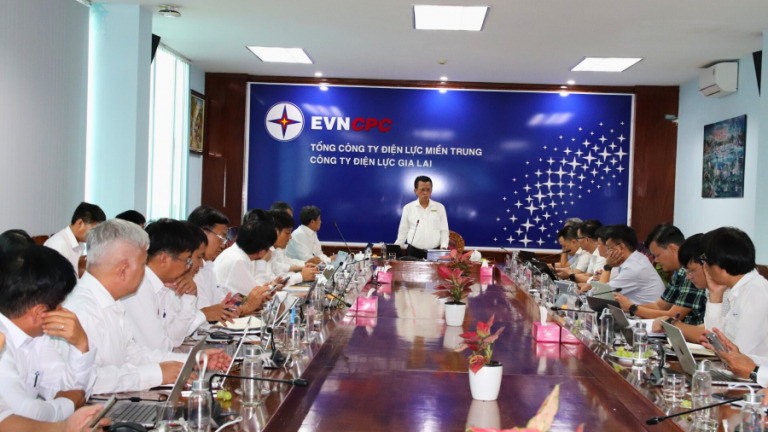 Tổng Giám đốc EVNCPC làm việc với Công ty Điện lực Gia Lai sau sáp nhập