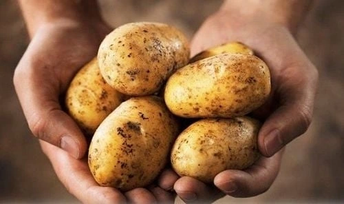 Ăn khoai tây có làm tăng nguy cơ tiểu đường?