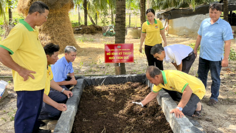 Nông dân Khánh Hòa nuôi trùn quế, nuôi sâu canxi, có thu nhập tốt, người khỏe, môi trường sạch hơn