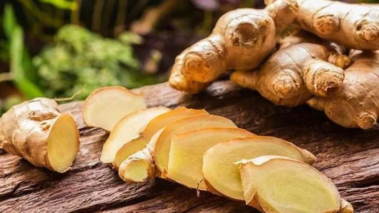 Củ gừng có thực sự tốt cho gan không? 