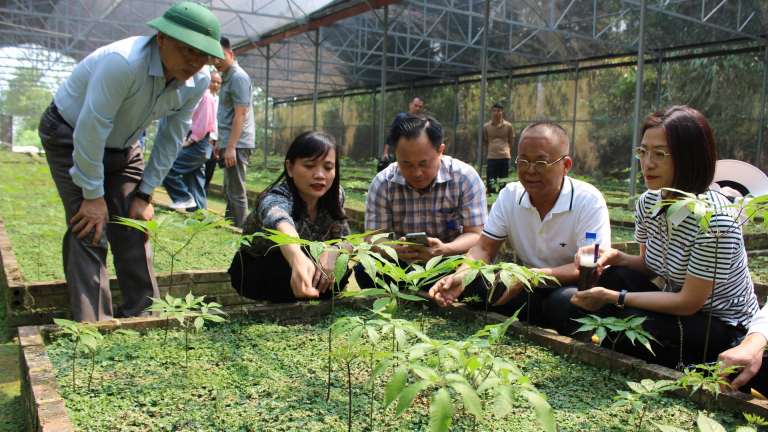 Đoàn công tác tỉnh Lạng Sơn tham quan mô hình trồng sâm Ngọc Linh tại Sơn La của ông Nguyễn Chí Long