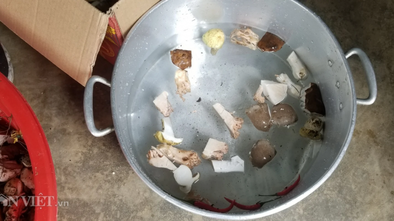 Sơn La: Ăn canh nấm rừng nghi ngộ độc, 1 người tử vong, nhiều người nhập viện