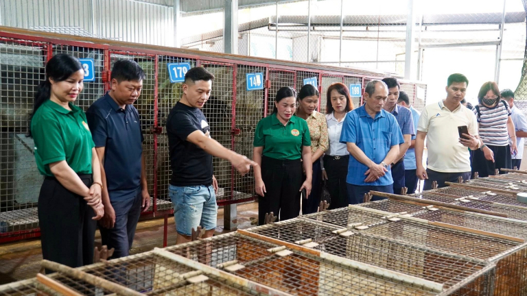 Hội Nông dân Lai Châu học tập kinh nghiệm mô hình kinh tế tại Tuyên Quang 