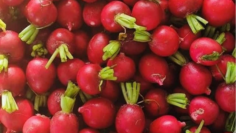 Củ này được ví như “nhân sâm của người nghèo”, người già và trẻ nhỏ ăn cực bổ dưỡng