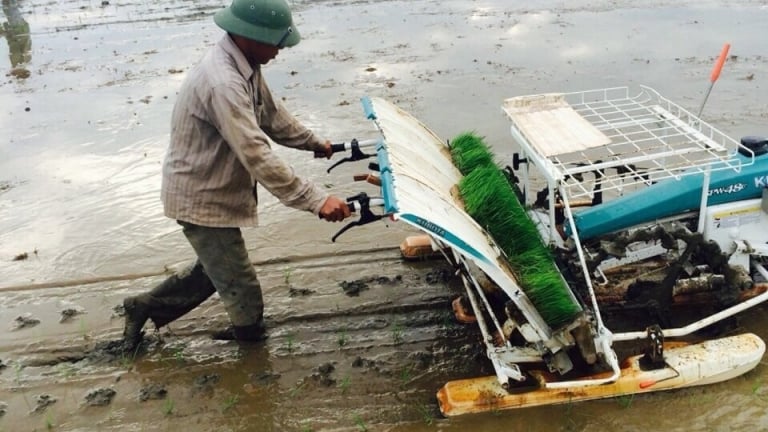 'Kể câu chuyện Việt Nam': Tự hào với sức bật phi thường của nông nghiệp, nông dân Việt