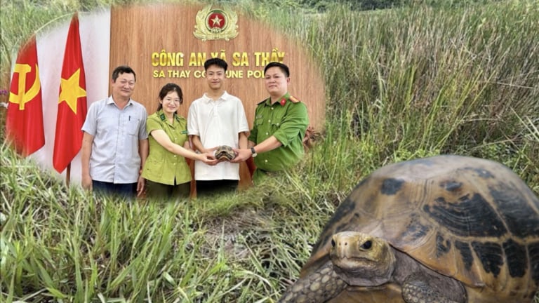 Phát hiện con động vật hoang dã quý lạc vào rẫy, một thiếu niên Quảng Ngãi giữ lại, giao cơ quan chức năng