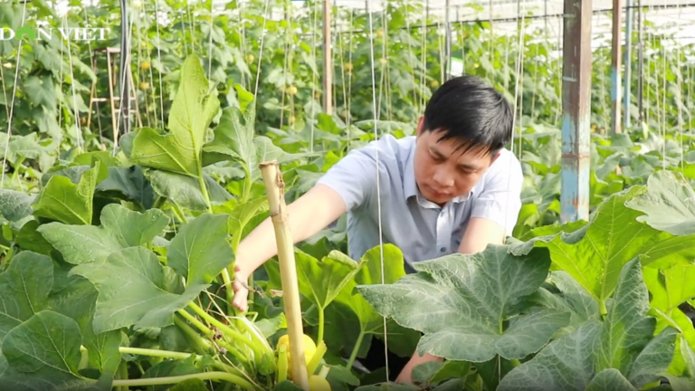 Đại biểu Lâm Đồng kỳ vọng nhiều vào nông nghiệp, nông dân, nông thôn trước thềm Đại hội IX Hội Nông dân Việt Nam