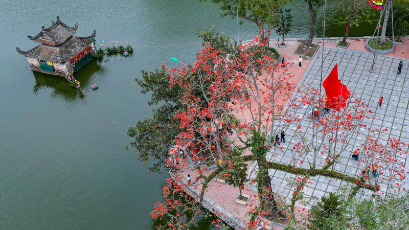Ngắm hoa gạo cổ thụ 'thắp lửa' từ ngoại thành đến nội đô Hà Nội
