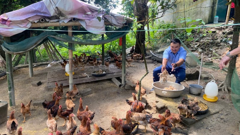 Liên minh HTX Thanh Hóa làm mô hình điểm về giảm nghèo, nông dân tăng thu nhập