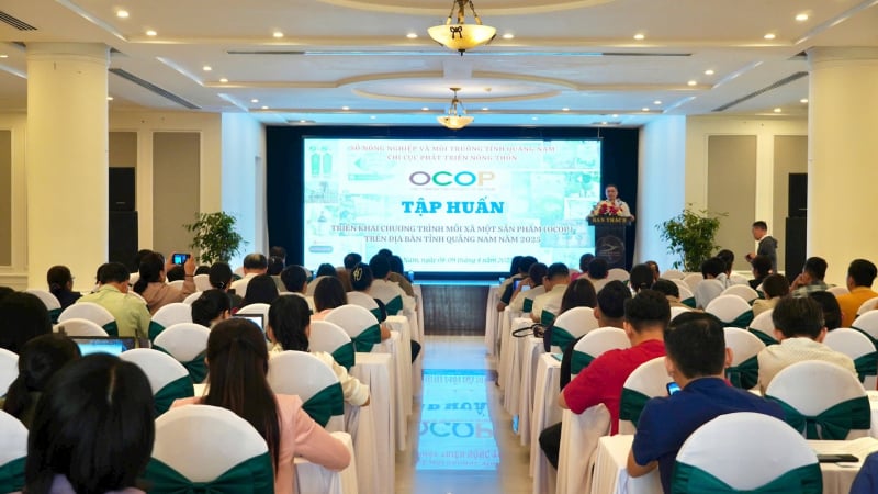 Quảng Nam triển khai tập huấn cho các chủ thể tham gia Chương trình OCOP