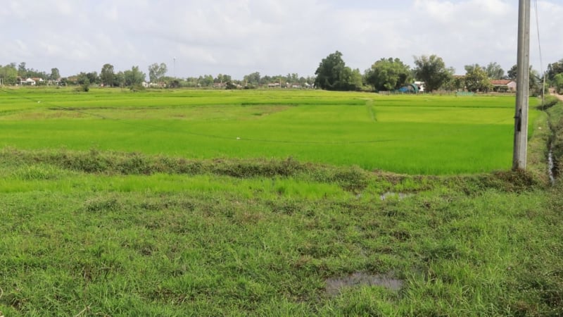 Lãnh đạo Bình Định đồng ý để Tập đoàn FLC nghiên cứu quy hoạch xây Khu đô thị sân bay 
