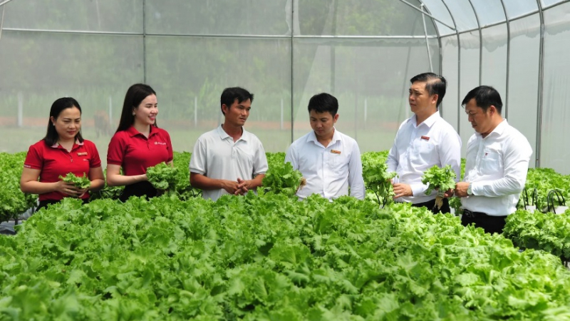 Agribank đầu tư phát triển nông nghiệp sạch, nông nghiệp công nghệ cao