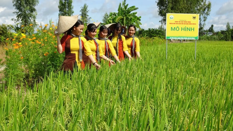 Bí quyết giúp phân bón Bình Điền đạt lợi nhuận hơn 530 tỷ đồng năm 2024