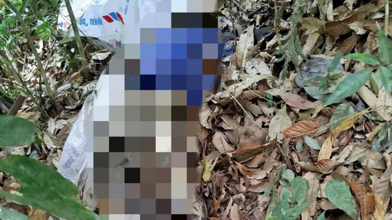 Sơn La: Phát hiện thi thể đang phân hủy trong rừng 