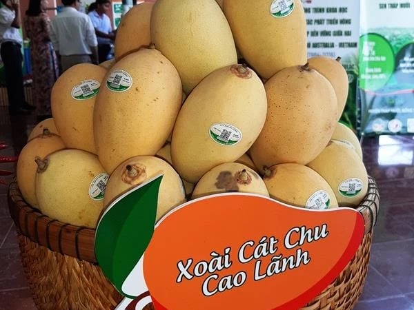 Sức bật trái cây Việt Nam  - nhìn từ vựa trái cây Đồng bằng sông Cửu Long