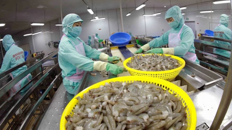 Vừa mang về 1,4 tỷ USD nhưng tôm, cá tra Việt Nam đang phải cạnh tranh với các đối thủ 'nặng ký' nào?