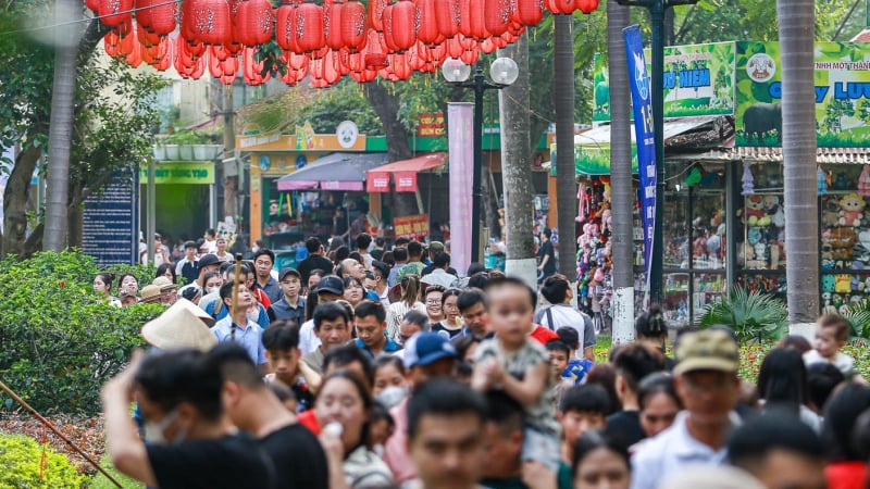 Người dân đến vườn thú lớn nhất Hà Nội để... ngắm khỉ và đà điểu