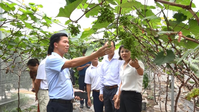 Hội Nông dân TP.Hà Nội nâng cao kỹ năng giám sát, phản biện xã hội cho đội ngũ cán bộ Hội