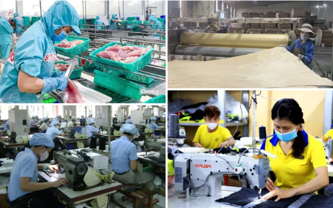 Có cơ chế miễn trừ trách nhiệm trong trường hợp cán bộ không tư lợi nhưng có thiệt hại do rủi ro khách quan