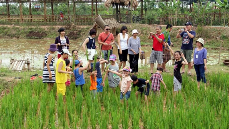 Hà Nội đề xuất sử dụng một phần đất nông nghiệp làm du lịch và giáo dục trải nghiệm