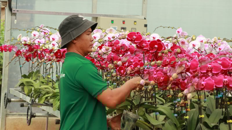 Giảm nghèo trở thành “phong trào” giúp huyện nông thôn mới đầu tiên của tỉnh Lâm Đồng không còn hộ nghèo