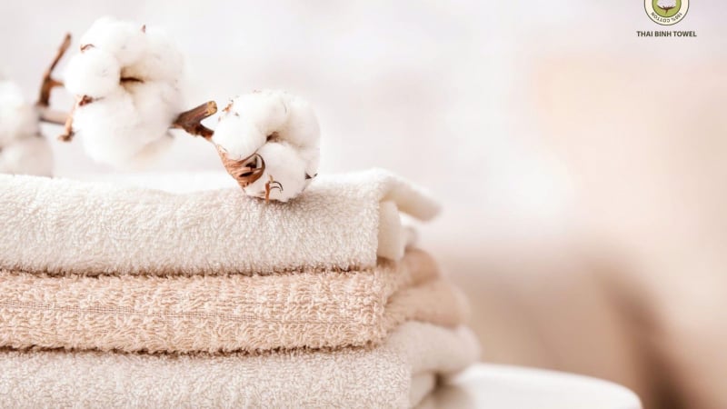 CEO Nguyễn Tự Hưng: “Tôi có 10 năm kinh nghiệm với thị trường khăn bông trước khi Thái Bình Towel ra đời”