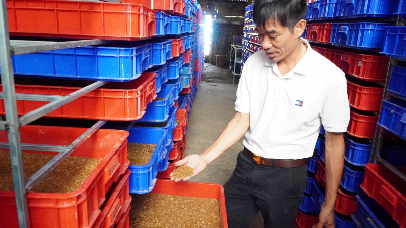 Nuôi la liệt loài sâu gì mà bán từ nhộng đến con bố mẹ, một người  Kon Tum 'tự trả lương' 100-150 triệu/tháng