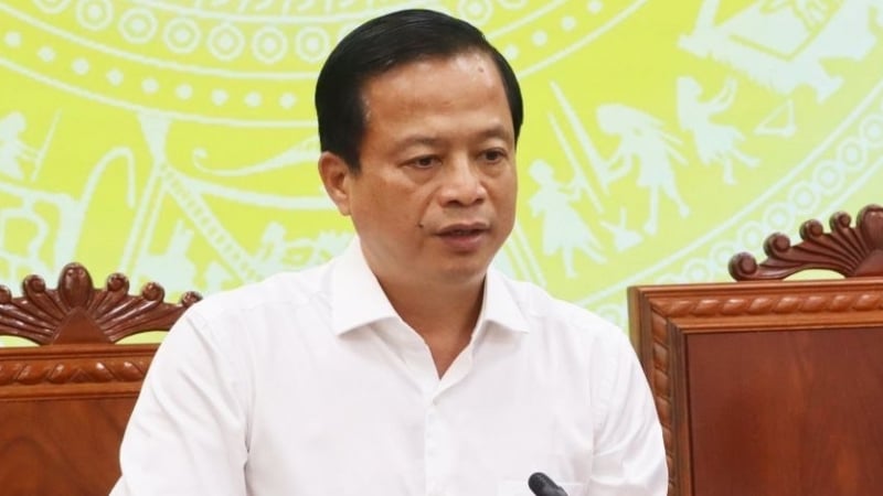Phó Chủ tịch Bình Định: 'Khai thác khoáng sản vượt ranh giới cấp phép, chậm hoàn thổ, cần xử lý nghiêm'