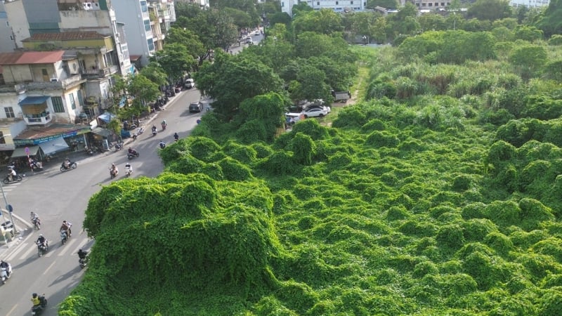 Ảnh ấn tượng tuần: Người dân đón đoàn tàu chở cán bộ, chiến sĩ làm nhiệm vụ A80 và khu 'đất vàng” cây dại mọc rậm như rừng