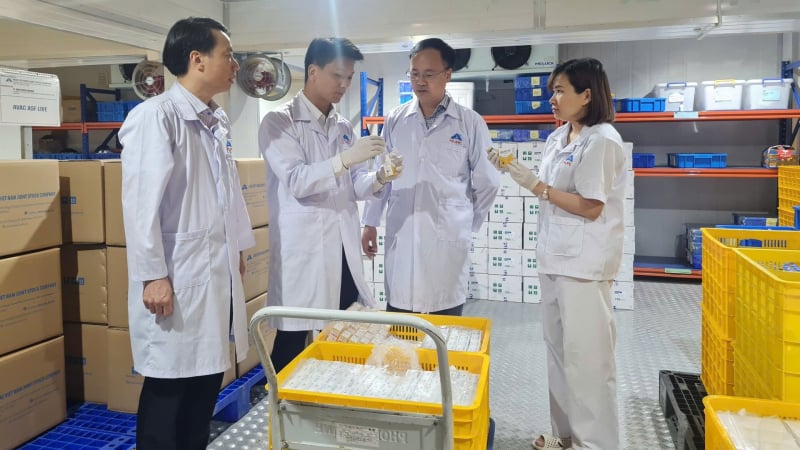 Một doanh nghiệp của Việt Nam chính thức xuất khẩu vaccine Dịch tả lợn châu Phi sang Indonesia