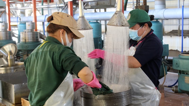 Chính sách nào giúp kinh tế Tây Ninh ghi nhận hàng loạt tín hiệu khởi sắc, xuất khẩu tăng tốc, thu ngân sách đạt 50% kế hoạch?