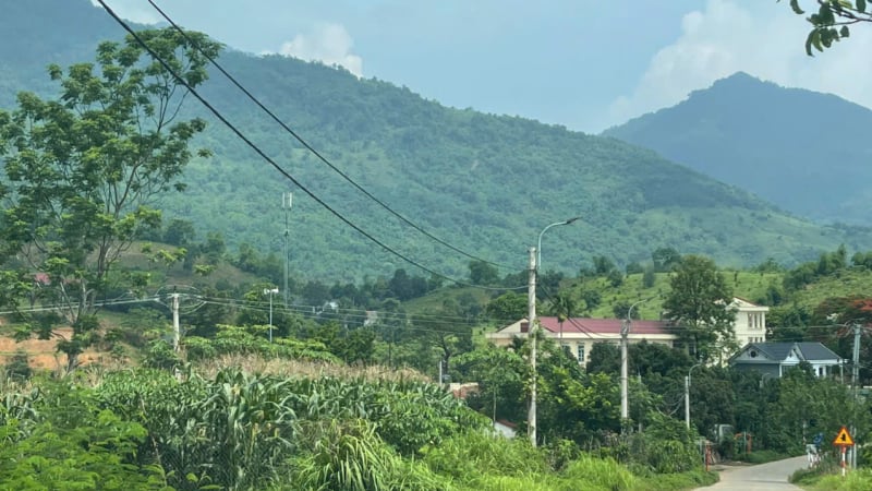 Đất rừng sản xuất: Người dân có được tự ý mở đường, xây nhà?