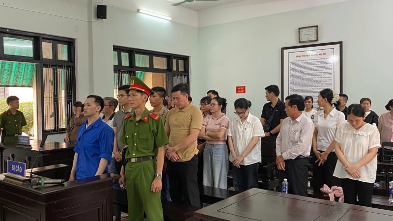 Nhiều giám đốc doanh nghiệp lĩnh án vì làm giả tài liệu, tổ chức xuất cảnh trái phép 