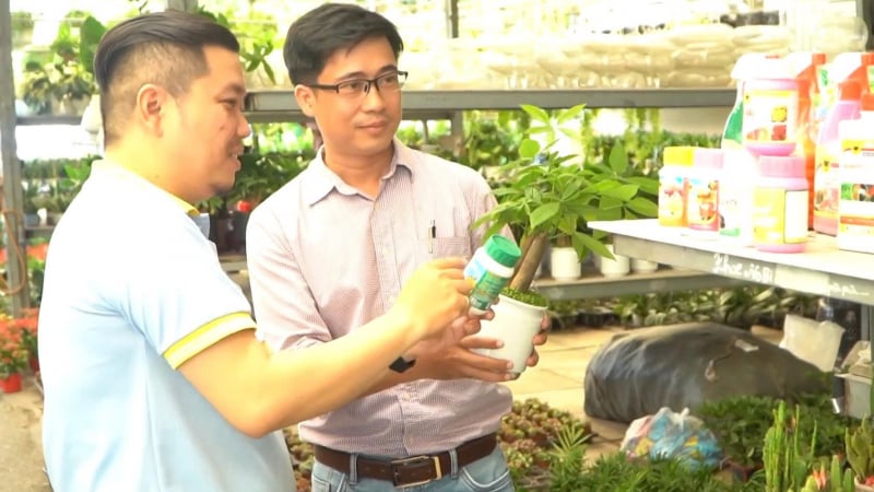 Phân bón nông nghiệp đô thị (bài 1): Từ thú “vác đất lên sân thượng” đến đủ loại dinh dưỡng cho cây trồng