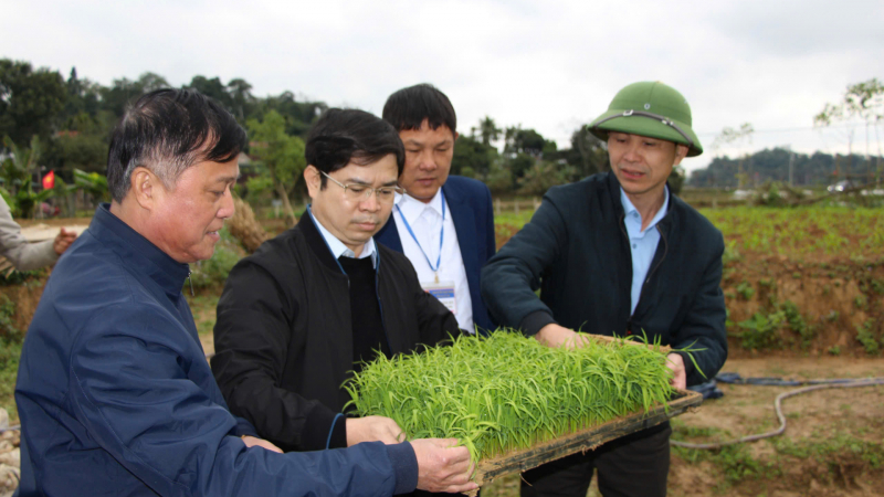 Kinh nghiệm thực hiện chương trình giảm nghèo ở Thanh Chương (Nghệ An): Hỗ trợ có điều kiện