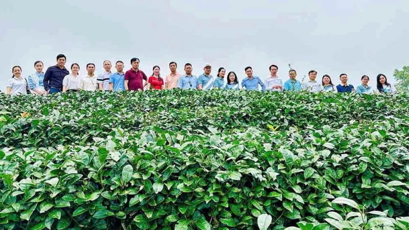 Trung tâm Khuyến nông Hải Dương thực hiện nhiệm vụ đào tạo huấn luyện khuyến nông năm 2025