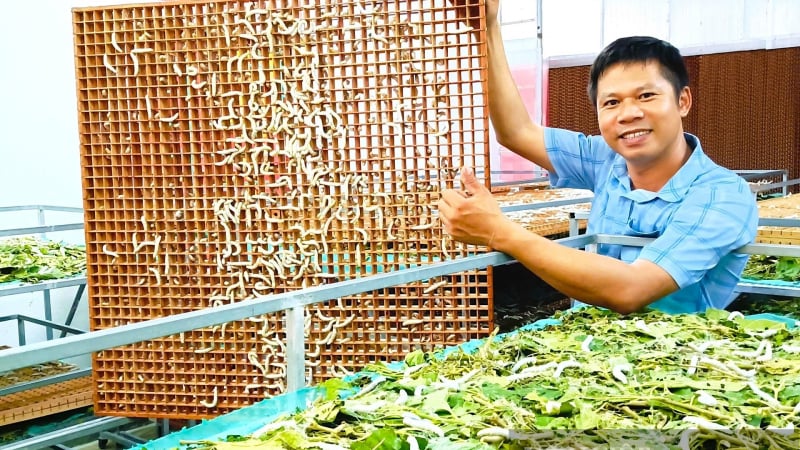 Ở một nơi của Hà Tĩnh dân nuôi con gì trong phòng lạnh mà thu nhập tăng gấp 3 lần so với trước?