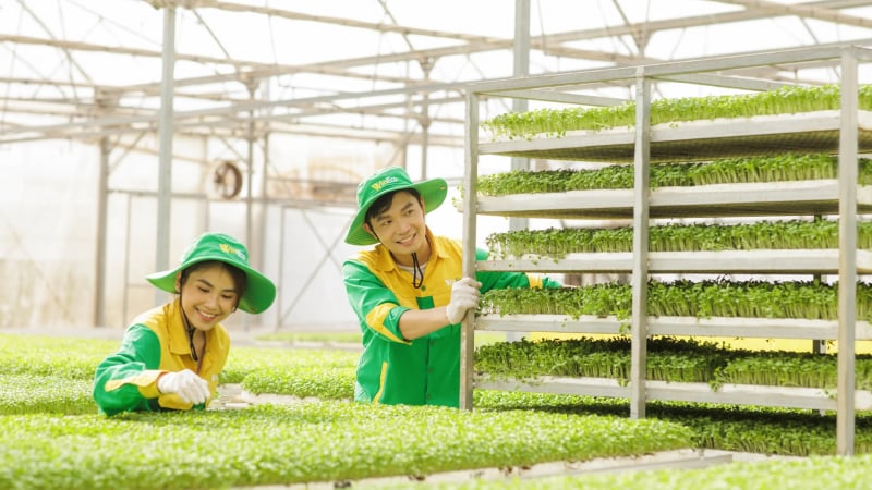         Báo chí, truyền thông nông nghiệp hữu cơ: Vì sức khỏe con người, môi trường và xã hội