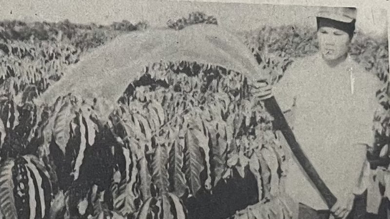  Về hoàn thiện khoán sản phẩm ở Thái Bình (Bài 7) - 10 bài báo kinh điển về đề tài tam nông trong 40 năm Đổi mới