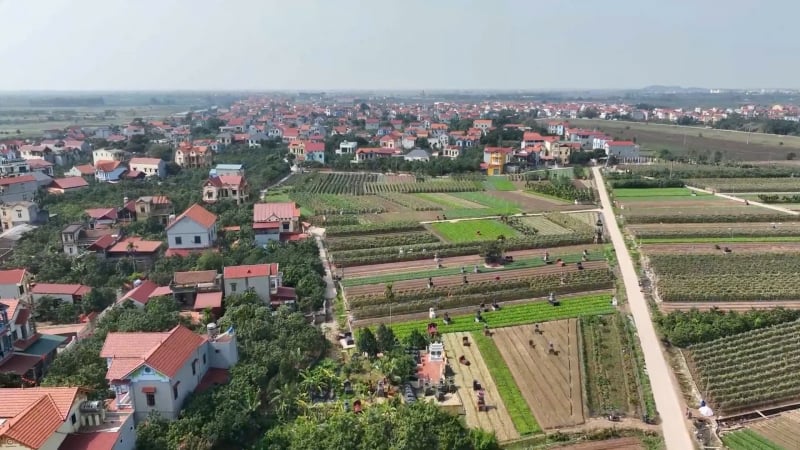 
Cấp xã có thể được ra quyết định cưỡng chế thu hồi đất theo đề xuất mới của Hà Nội