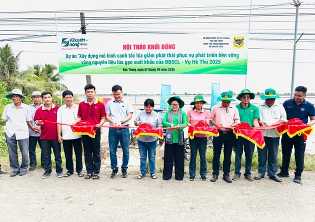 Phân bón Bình Điền đẩy mạnh Dự án 'Xây dựng mô hình canh tác lúa giảm phát thải phục vụ phát triển bền vững vùng nguyên liệu lúa gạo xuất khẩu của ĐBSCL'