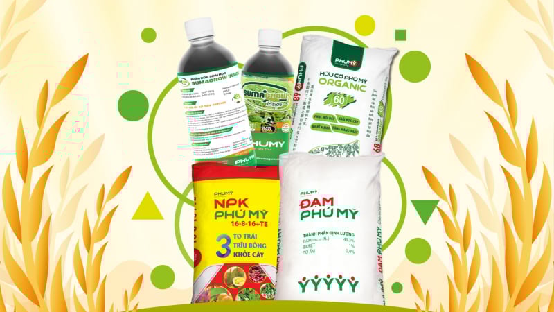 Bộ ba vàng vô cơ – hữu cơ – sinh học của Phú Mỹ - PVFCCo