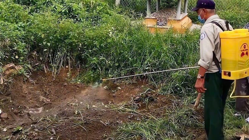 Số ca mắc liên cầu lợn tăng đột biến, TP.Huế yêu cầu xử lý nghiêm việc giết mổ lợn bệnh, lợn chết 